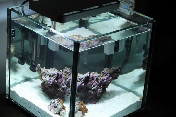 pico-aquarium-1 pico-aquarium-2