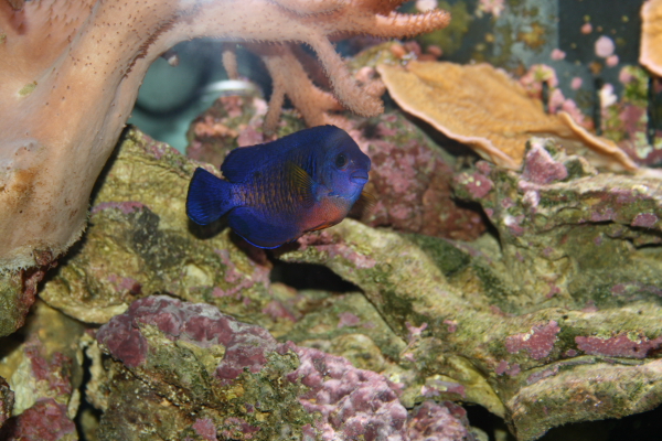 dpp_0365.JPG