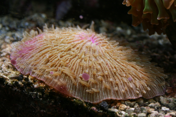 dpp_0373.JPG