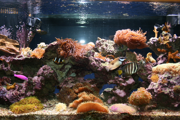 totm-march-middle-shot-carym