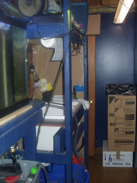 refuge-sink-area
